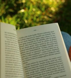regressor instruction manual novel