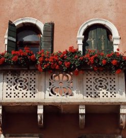 cabi spring 2023 lookbook pdf